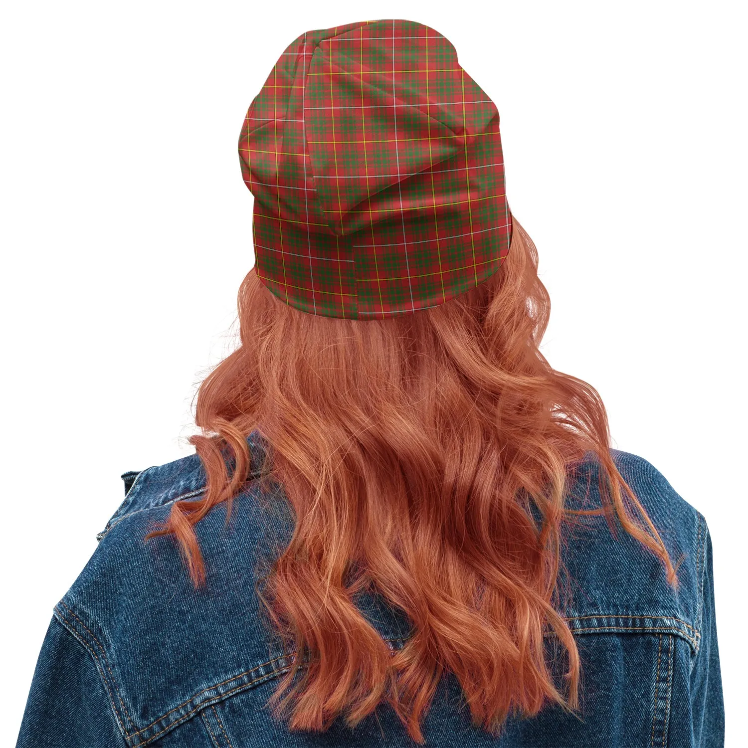 Bruce Modern Tartan Beanies Hat with Family Crest